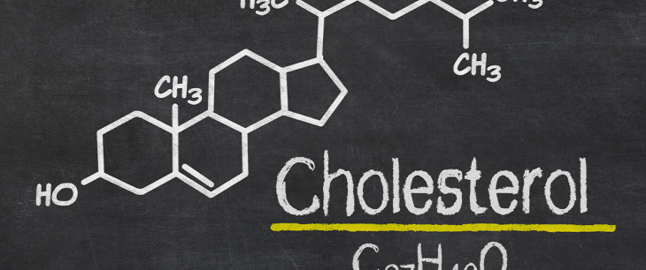 CHOLESTEROL – priateľ alebo nepriateľ nášho tela?